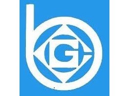 Pioneer Insurance Company Limited